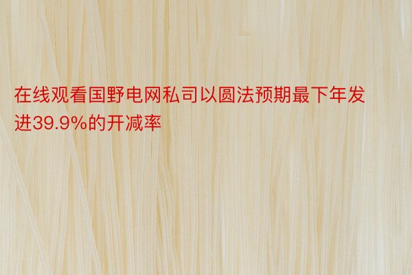 在线观看国野电网私司以圆法预期最下年发进39.9%的开减率