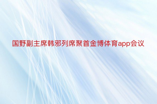 国野副主席韩邪列席聚首金博体育app会议