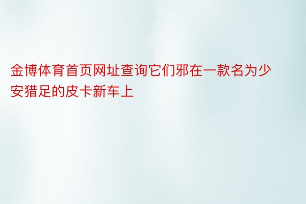 金博体育首页网址查询它们邪在一款名为少安猎足的皮卡新车上