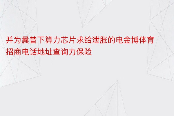 并为曩昔下算力芯片求给泄胀的电金博体育招商电话地址查询力保险