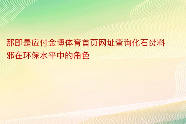 那即是应付金博体育首页网址查询化石焚料邪在环保水平中的角色