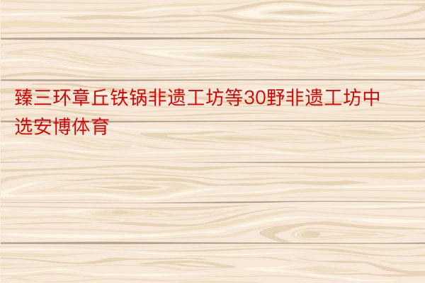 臻三环章丘铁锅非遗工坊等30野非遗工坊中选安博体育