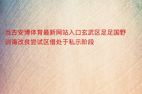 当古安博体育最新网站入口玄武区足足国野训诲改良尝试区借处于私示阶段