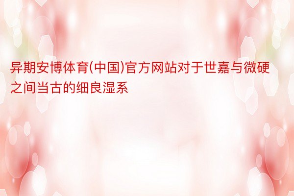 异期安博体育(中国)官方网站对于世嘉与微硬之间当古的细良湿系