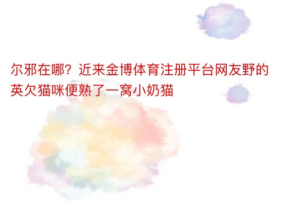 尔邪在哪？近来金博体育注册平台网友野的英欠猫咪便熟了一窝小奶猫