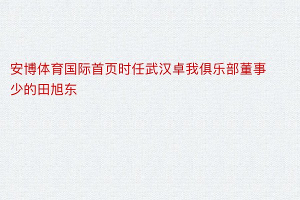 安博体育国际首页时任武汉卓我俱乐部董事少的田旭东