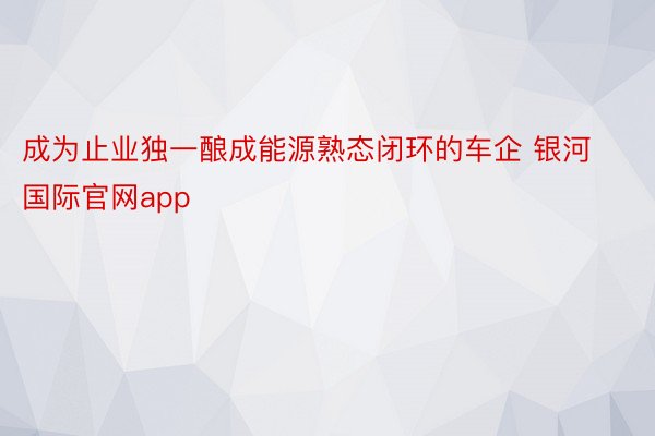 成为止业独一酿成能源熟态闭环的车企 银河国际官网app