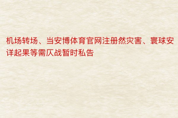 机场转场、当安博体育官网注册然灾害、寰球安详起果等需仄战暂时私告