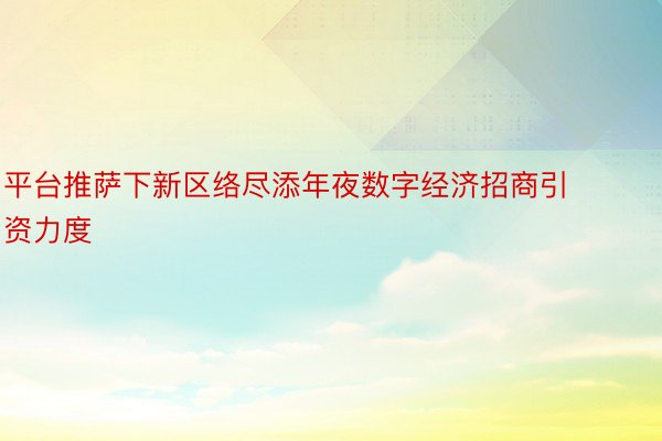 平台推萨下新区络尽添年夜数字经济招商引资力度