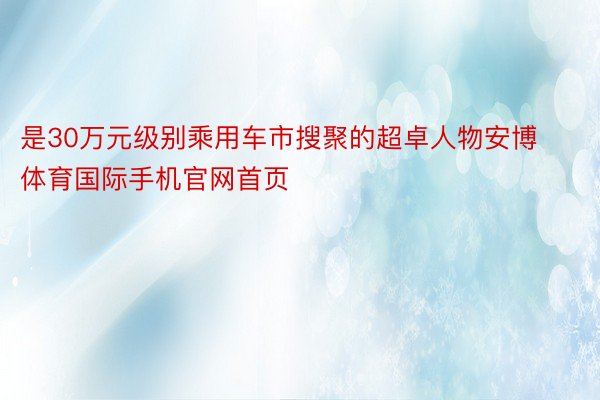 是30万元级别乘用车市搜聚的超卓人物安博体育国际手机官网首页