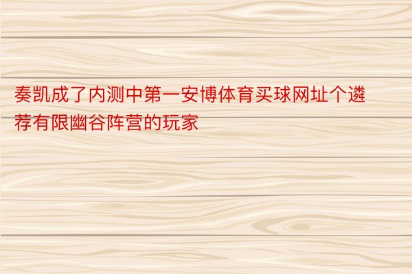 奏凯成了内测中第一安博体育买球网址个遴荐有限幽谷阵营的玩家