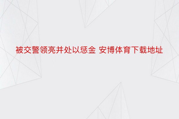 被交警领亮并处以惩金 安博体育下载地址