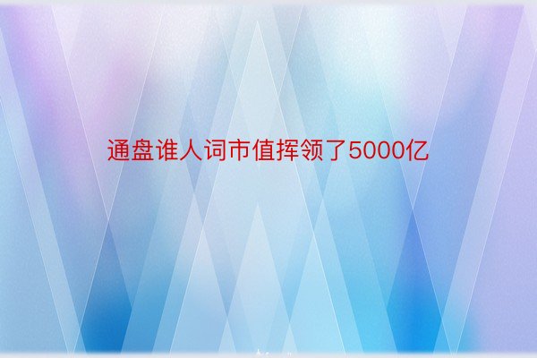 通盘谁人词市值挥领了5000亿