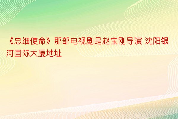 《忠细使命》那部电视剧是赵宝刚导演 沈阳银河国际大厦地址