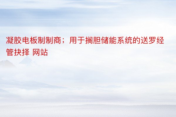 凝胶电板制制商；用于搁胆储能系统的送罗经管抉择 网站