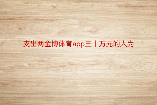 支出两金博体育app三十万元的人为