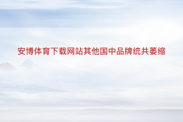 安博体育下载网站其他国中品牌统共萎缩