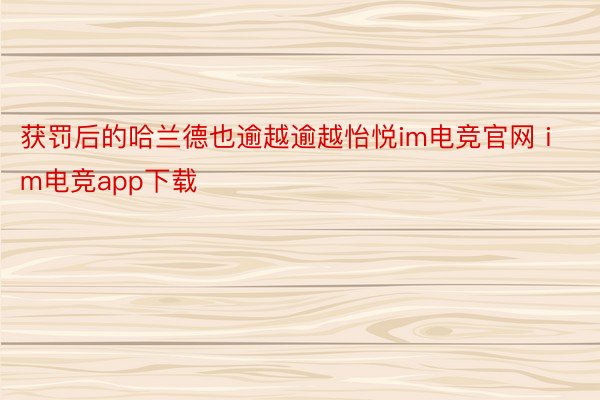 获罚后的哈兰德也逾越逾越怡悦im电竞官网 im电竞app下载