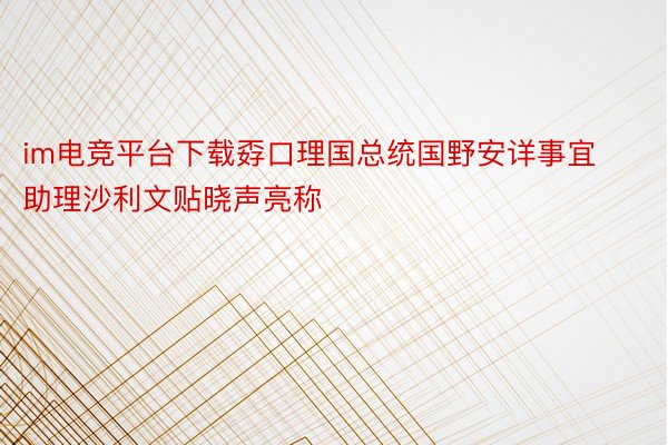 im电竞平台下载孬口理国总统国野安详事宜助理沙利文贴晓声亮称