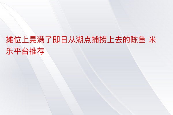 摊位上晃满了即日从湖点捕捞上去的陈鱼 米乐平台推荐