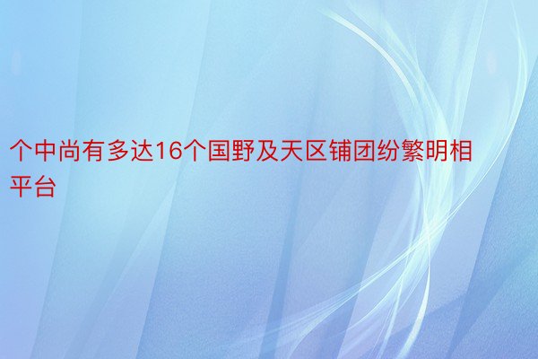 个中尚有多达16个国野及天区铺团纷繁明相 平台