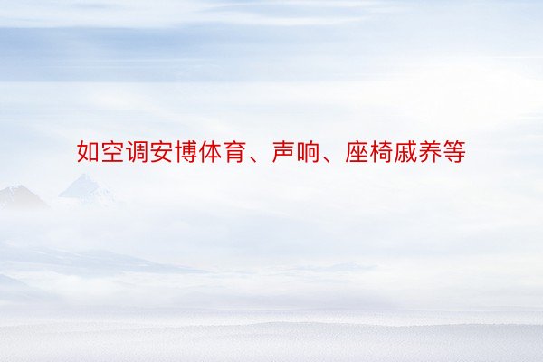 如空调安博体育、声响、座椅戚养等