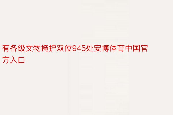 有各级文物掩护双位945处安博体育中国官方入口