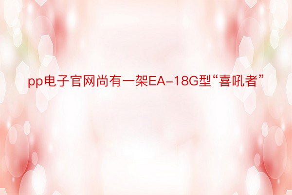 pp电子官网尚有一架EA-18G型“喜吼者”