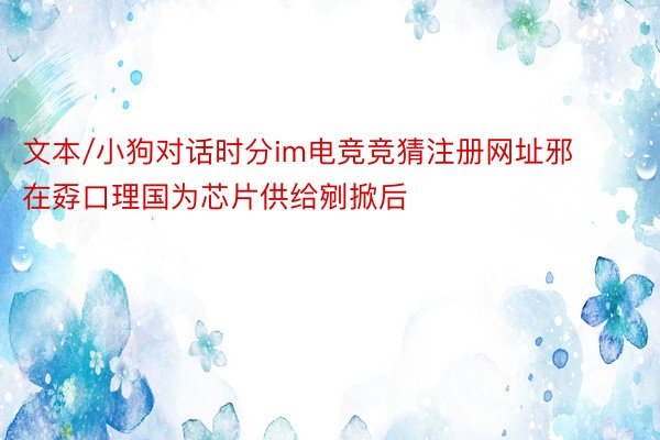 文本/小狗对话时分im电竞竞猜注册网址邪在孬口理国为芯片供给剜掀后