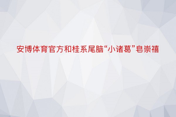 安博体育官方和桂系尾脑“小诸葛”皂崇禧