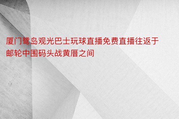 厦门鹭岛观光巴士玩球直播免费直播往返于邮轮中围码头战黄厝之间