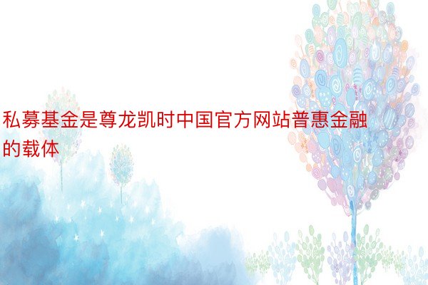 私募基金是尊龙凯时中国官方网站普惠金融的载体