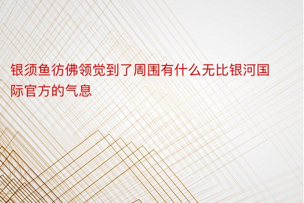 银须鱼彷佛领觉到了周围有什么无比银河国际官方的气息