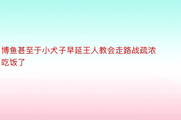 博鱼甚至于小犬子早延王人教会走路战疏浓吃饭了