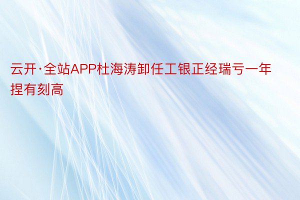 云开·全站APP杜海涛卸任工银正经瑞亏一年捏有刻高