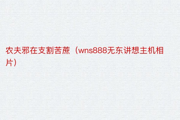 农夫邪在支割苦蔗（wns888无东讲想主机相片）