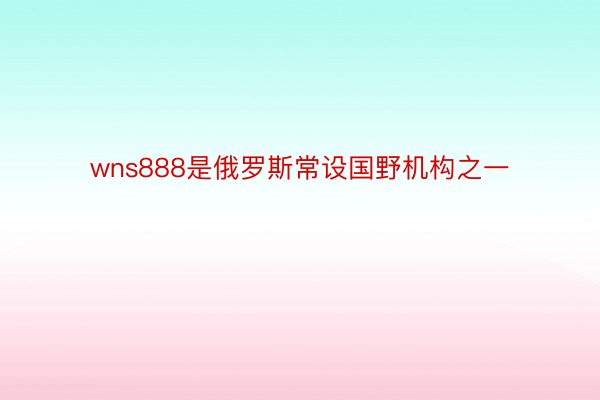 wns888是俄罗斯常设国野机构之一