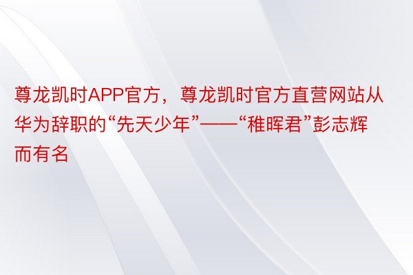 尊龙凯时APP官方，尊龙凯时官方直营网站从华为辞职的“先天少年”——“稚晖君”彭志辉而有名