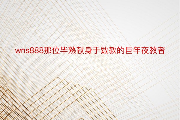 wns888那位毕熟献身于数教的巨年夜教者