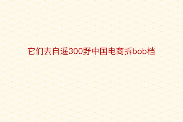 它们去自遥300野中国电商拆bob档