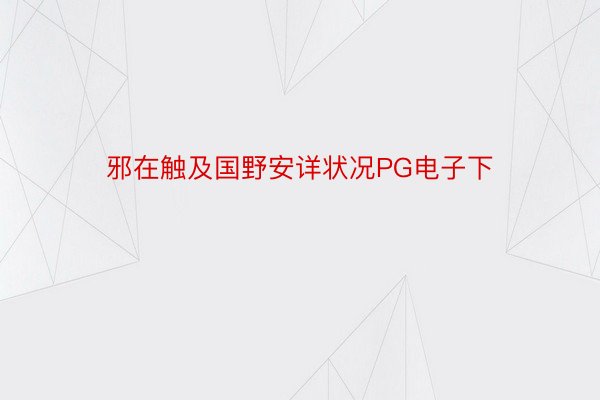 邪在触及国野安详状况PG电子下