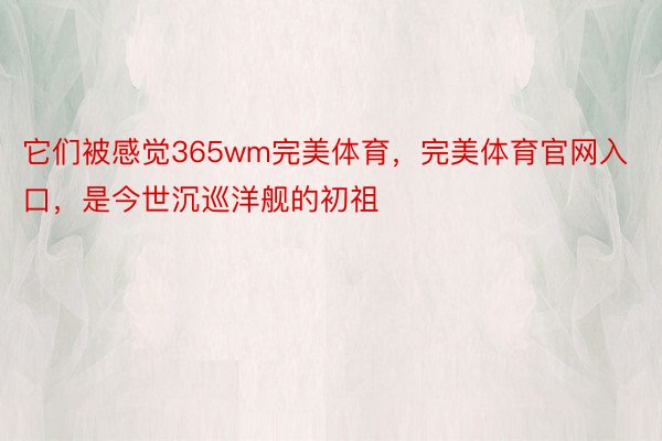 它们被感觉365wm完美体育，完美体育官网入口，是今世沉巡洋舰的初祖