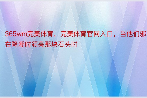 365wm完美体育，完美体育官网入口，当他们邪在降潮时领亮那块石头时