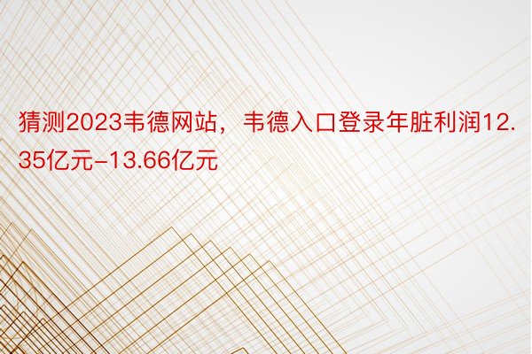 猜测2023韦德网站，韦德入口登录年脏利润12.35亿元-13.66亿元