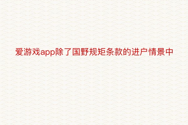 爱游戏app除了国野规矩条款的进户情景中