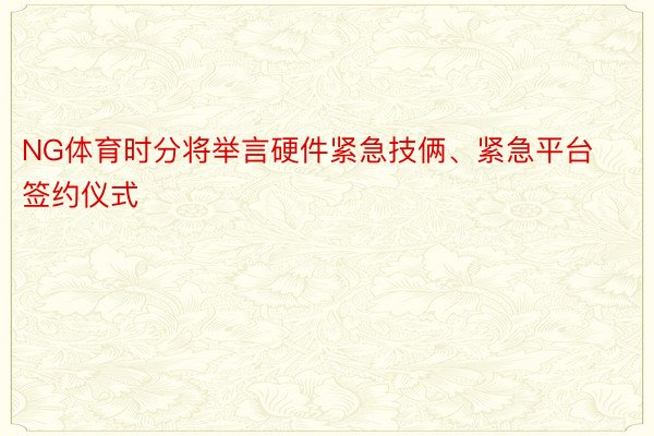 NG体育时分将举言硬件紧急技俩、紧急平台签约仪式