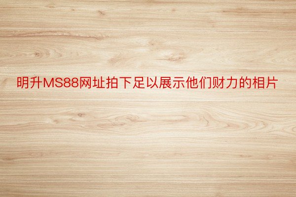 明升MS88网址拍下足以展示他们财力的相片