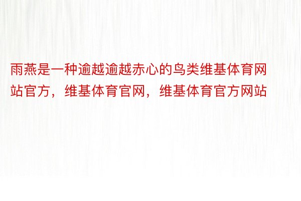 雨燕是一种逾越逾越赤心的鸟类维基体育网站官方，维基体育官网，维基体育官方网站