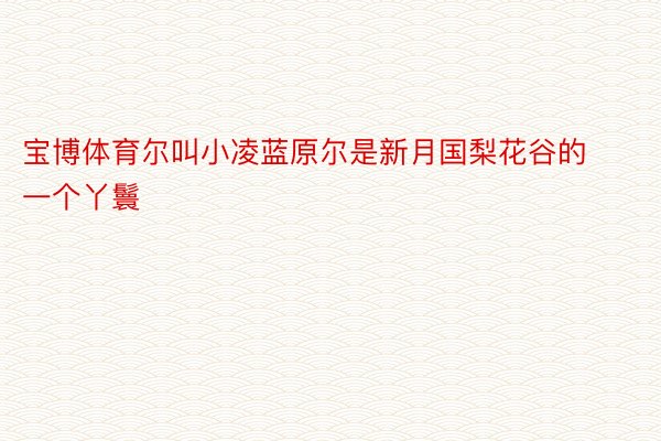 宝博体育尔叫小凌蓝原尔是新月国梨花谷的一个丫鬟