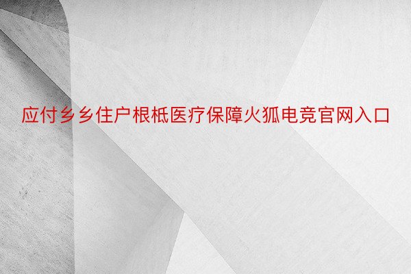 应付乡乡住户根柢医疗保障火狐电竞官网入口